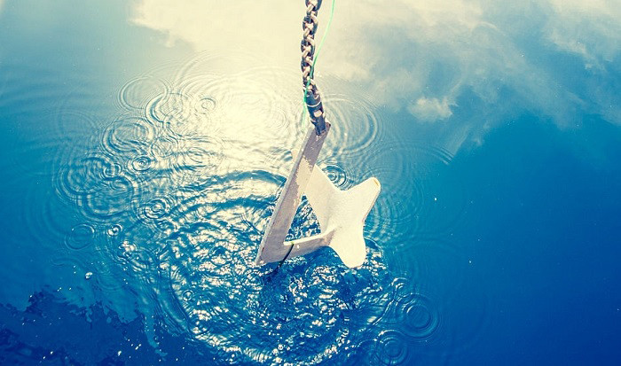 Stainless Steel Bruce anchor