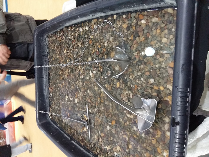 Stainless Steel Bruce anchor