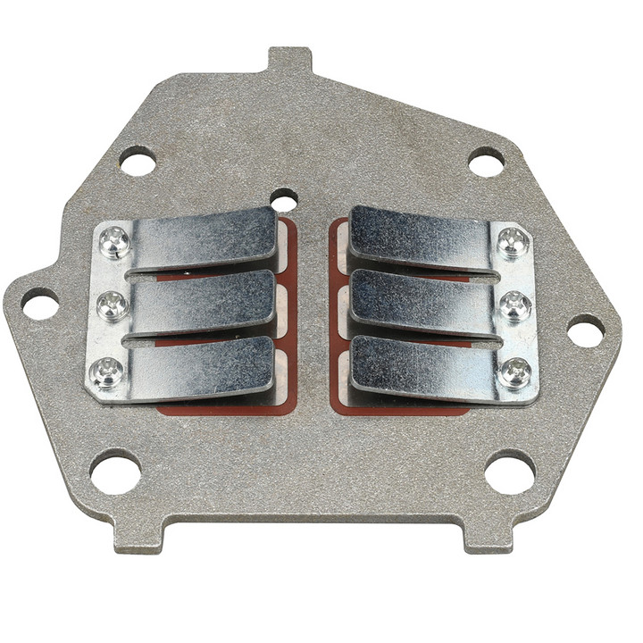Reed Valve Assy