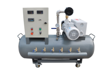 Gsv-100 vacuum pump system