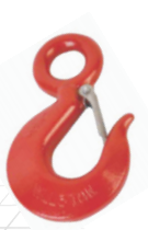 EYE HOOK WITH LATCH