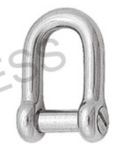 S0129 Trawling D Shackle Screw Pin