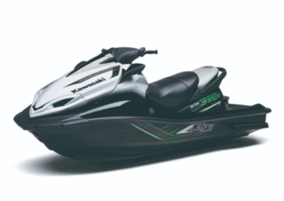 Kawasaki 310X standard