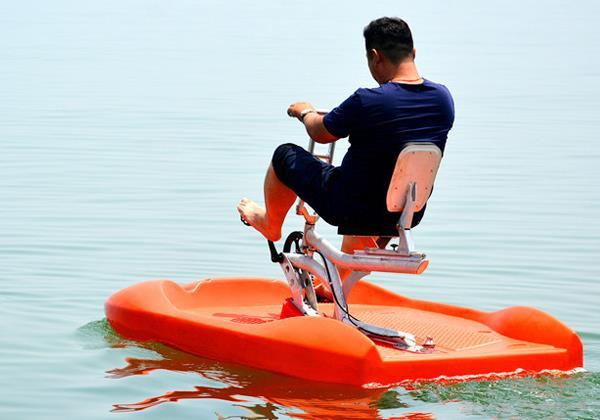 Dolphin water bike