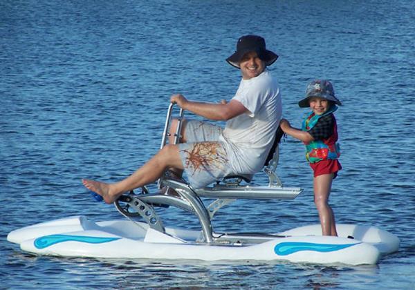 Dolphin water bike