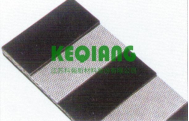 Split fabric core conveyor belt