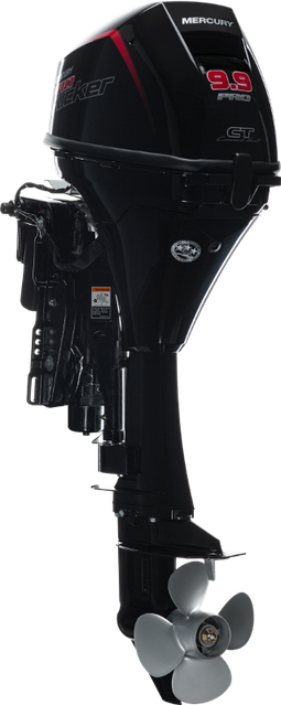 Outboard motor 9.9