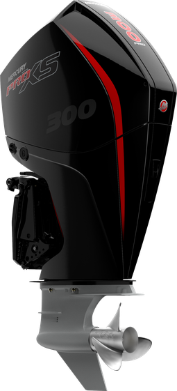 Outboard motor 300