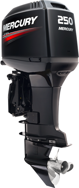 Outboard motor 250 EFI