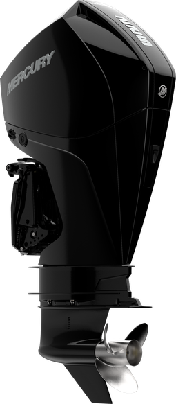 Outboard motor 225