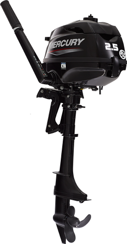 Outboard motor 2.5