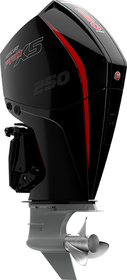 Outboard motor 250