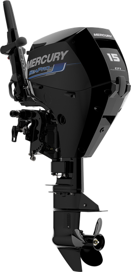 Outboard motor SeaPro 15