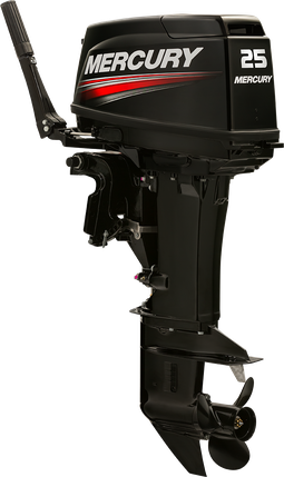 Outboard motor 25