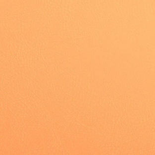 Orange Leather For Chairs' Covering