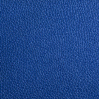 Blue Leather for Upholstery