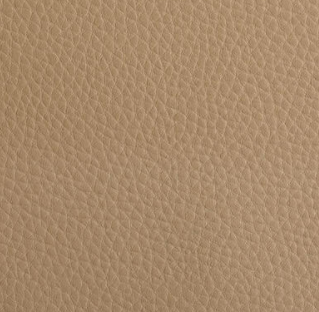 Sunroom Tan Upholstery Leather