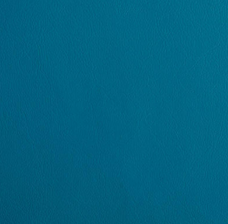 Vivid Blue Yoga Mat Leather