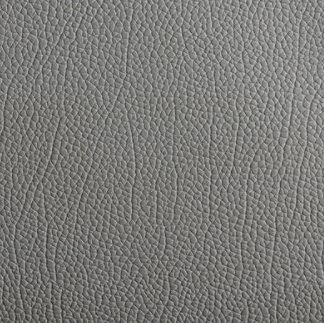 Antibacterial Leather for Car
