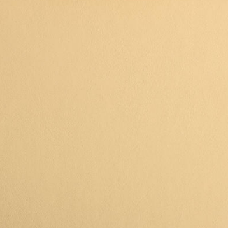 Desert Dust Color Chair Leather