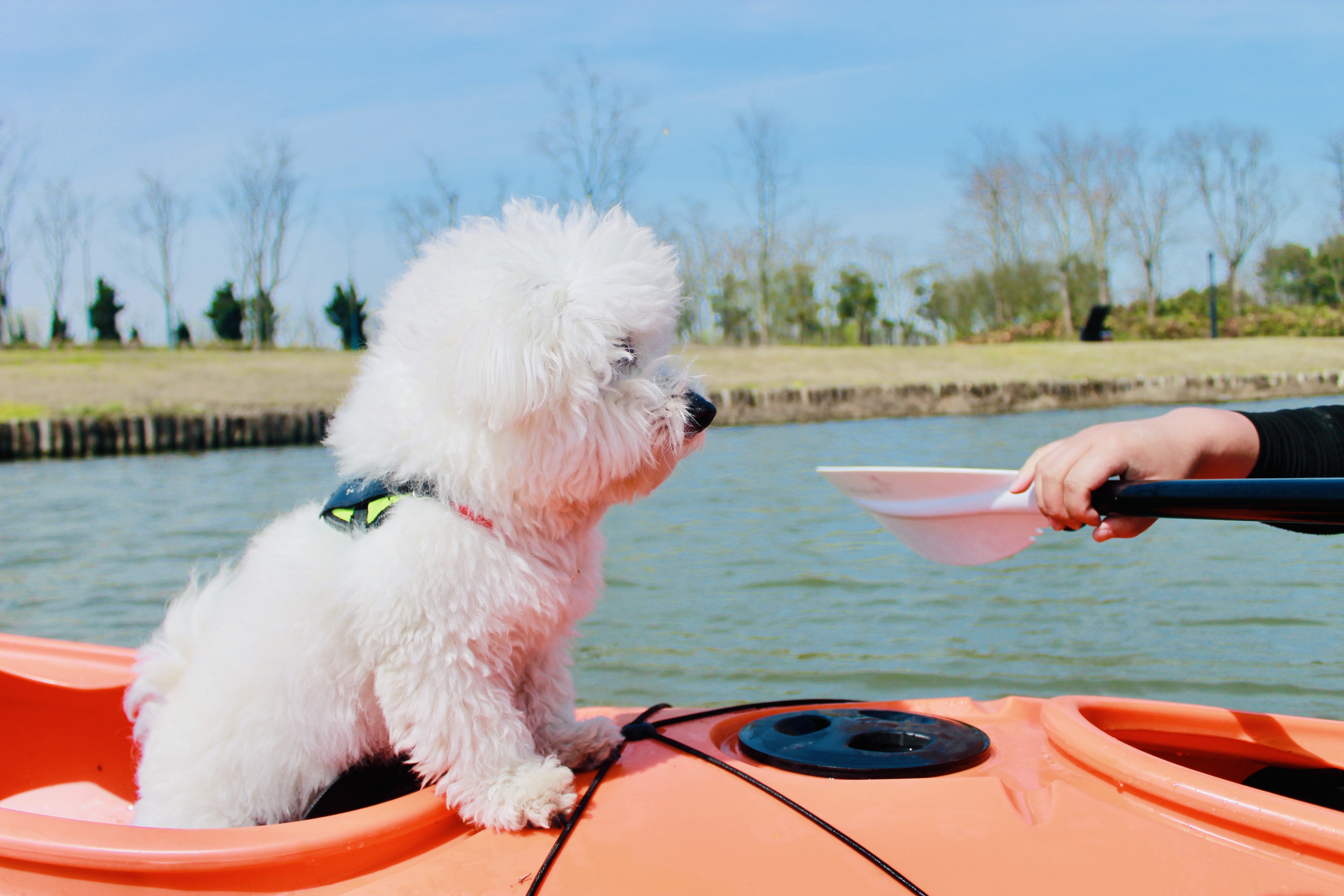 D' Boating Club