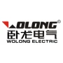 Wolong Electric Group Co., Ltd