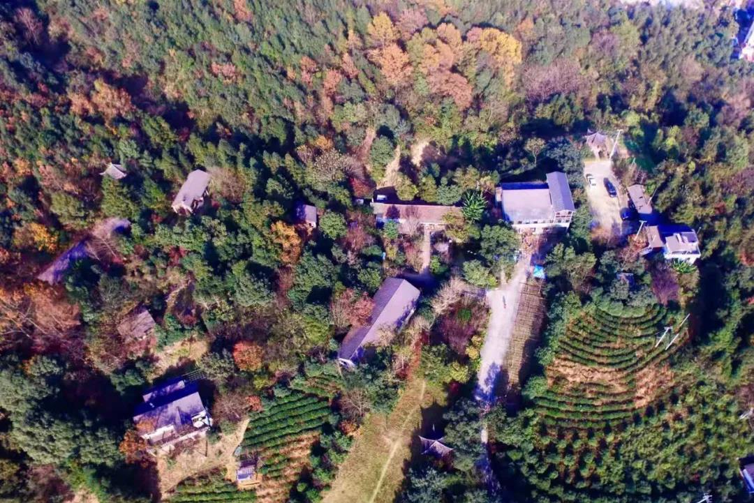 2021展商回顾 | 主题旅游：农业和乡村旅游