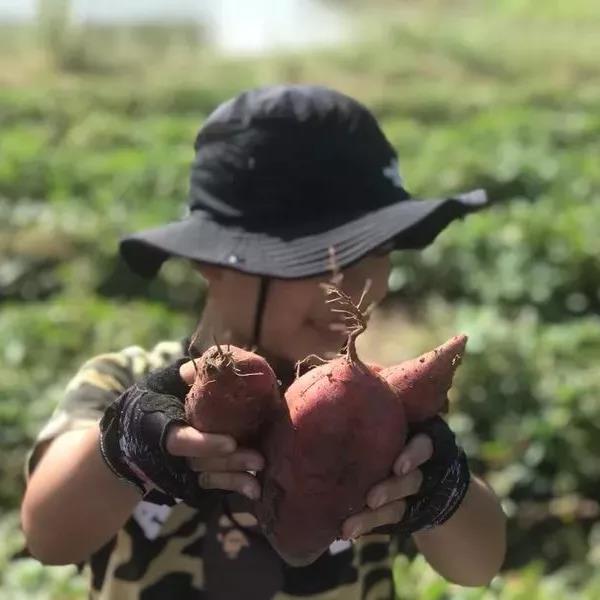 2021展商回顾 | 主题旅游：农业和乡村旅游