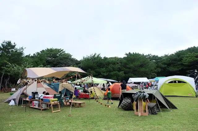 野生、精致，你偏愛露營哪一派？