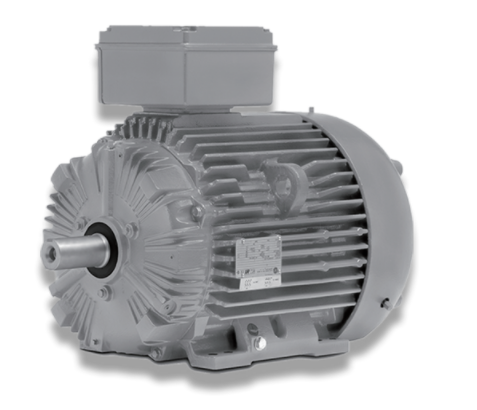 IEEE841 series motors