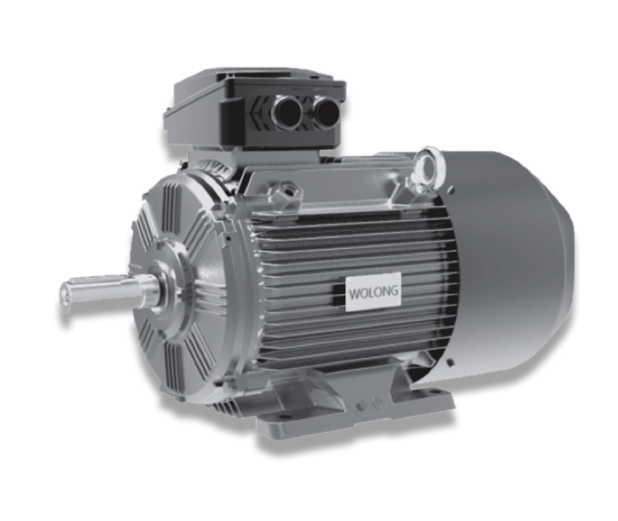 WE4 series ultra-efficient three-phase asynchronous motor