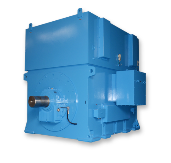 Motors for nuclear power plants