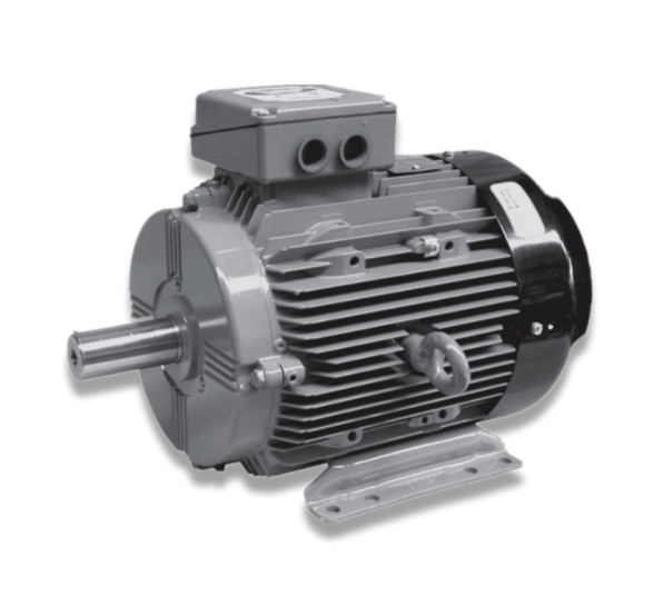 W series ultra-high efficiency motor