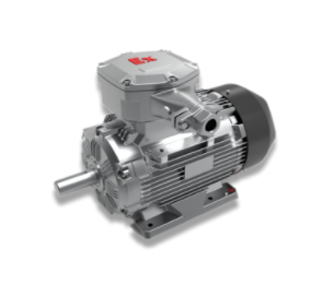 WEX3 series explosion-proof ultra-high efficiency motor