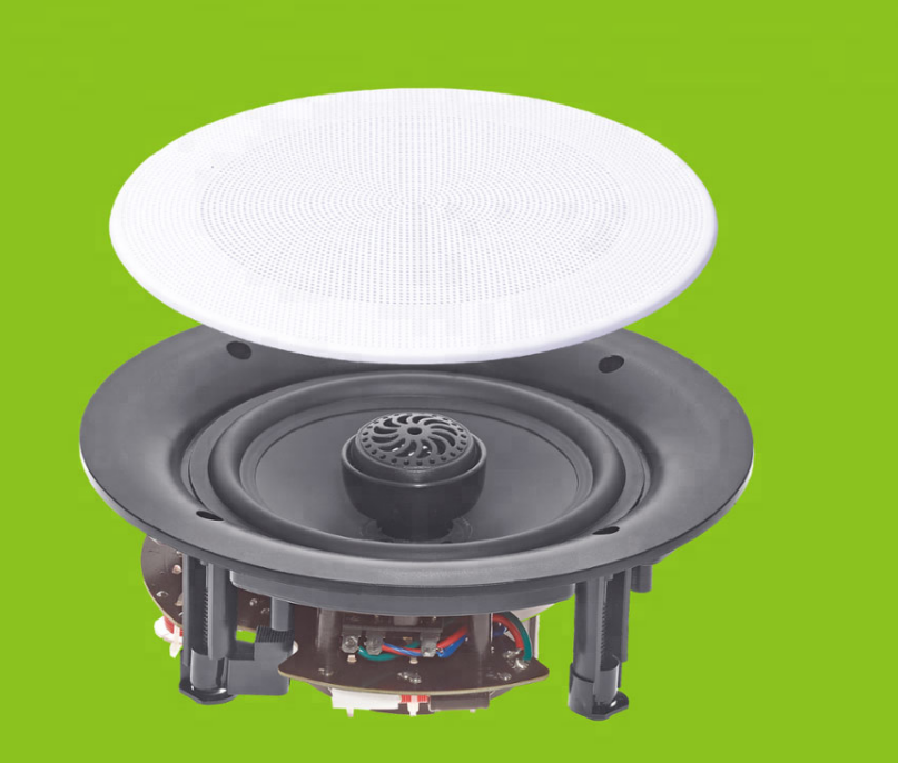 5.25 INCH 6.5 INCH 8 INCH 10 INCH PATENT CEILING SPEAKER DBS165002/DBS166502/DBS168002/DBS161002