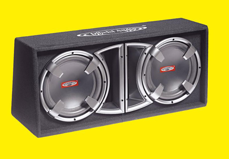 10 INCH 12 INCH CAR SUBWOOFER CP181008/CP181208