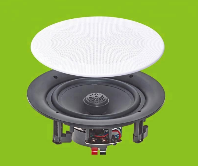 DIBEISI 5.25/6.5/8/10 INCH PATENT CEILING SPEAKER DBS165004/DBS166504/DBS168004/DBS161004