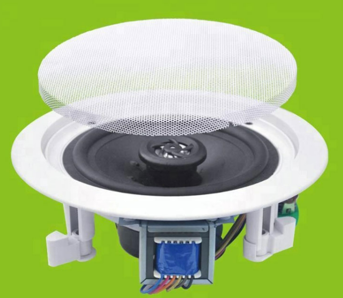 6.5 INCH 8 INCH CEILING SPEAKER DBS186509T/DBS188009T