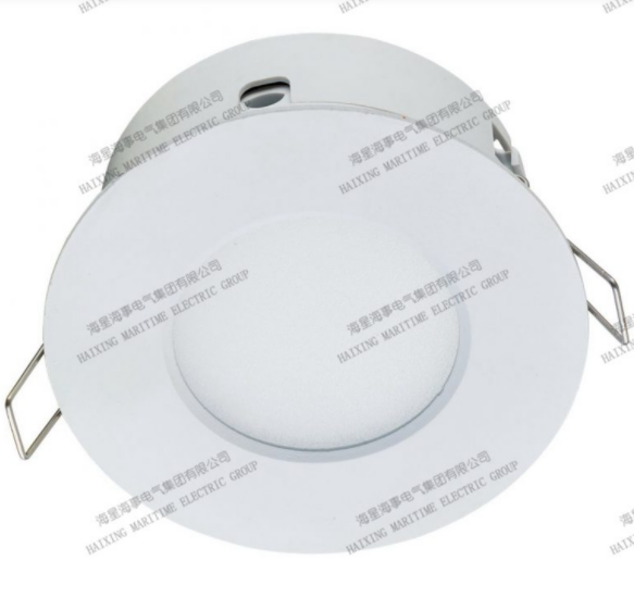 LED DOWN LIGHT