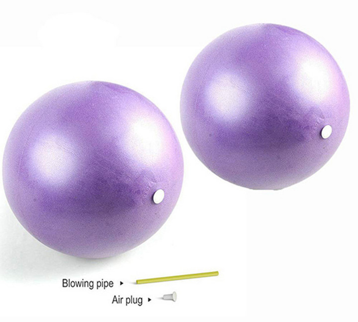 Bodhidharma yoga ball Swiss Ball physiotherapy ball