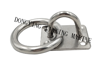 Stainless Steeleye Plate with Ring