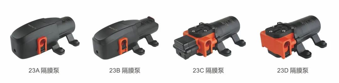 萬噸巨輪、豪華超艇、公園游船，都有TA的身影