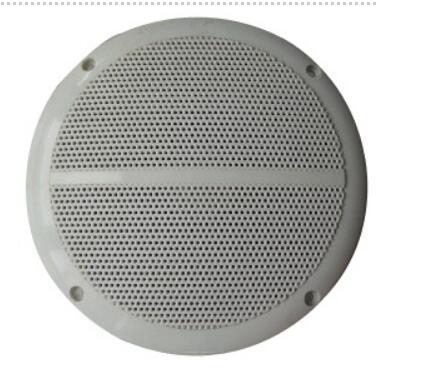 6''Dual Cone Full RangeSpeaker