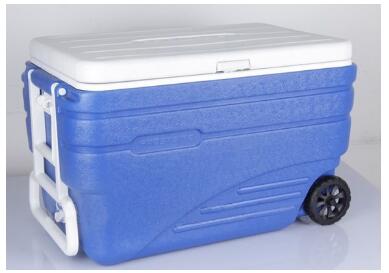 Portable Cooler 47L/80L/100L