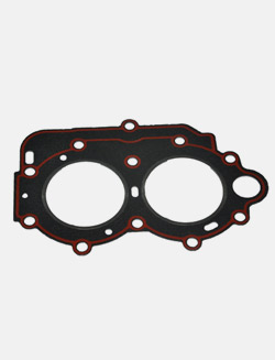 Cylinder gasket 15F