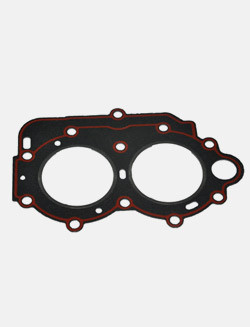 Cylinder gasket 15F