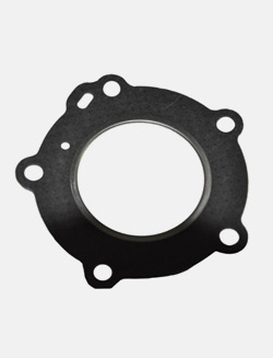 Cylinder gasket 5F