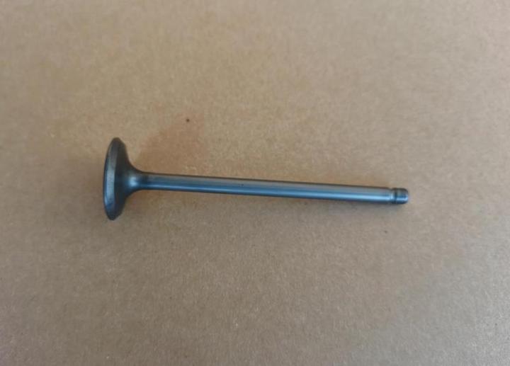 Outboard engine - intake valve