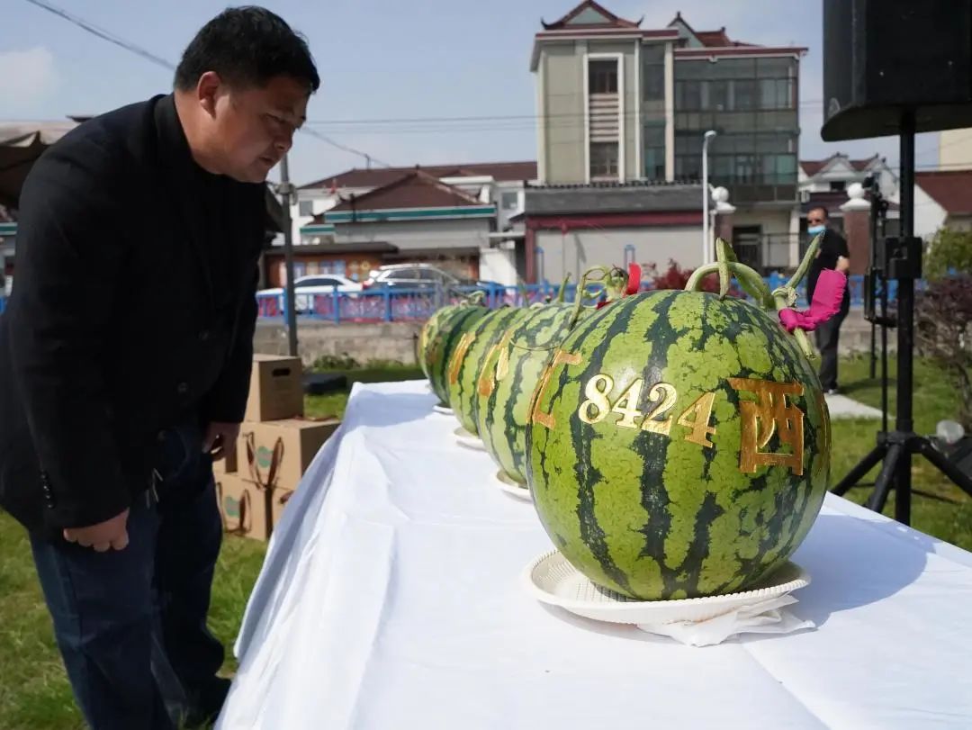 团长，组团去乡村游啊！
