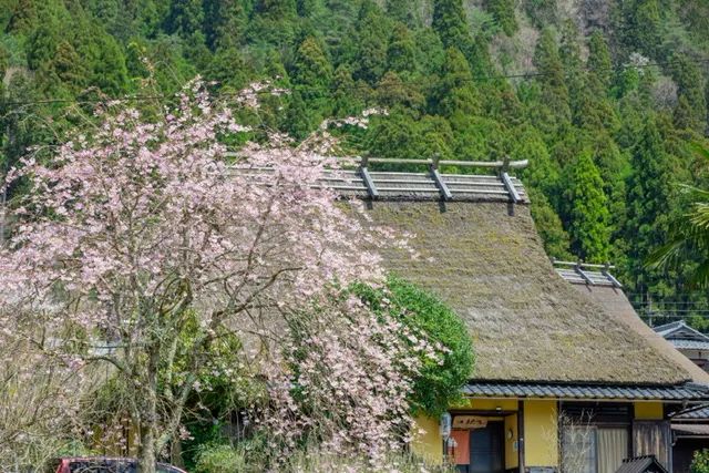 案例分析 | “世界最佳旅游乡村”靠什么吸引游客
